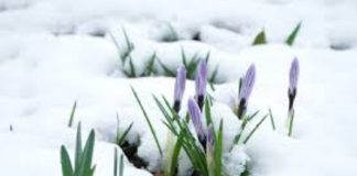 La Grand Dégel et le Son de la Fonte des Neiges