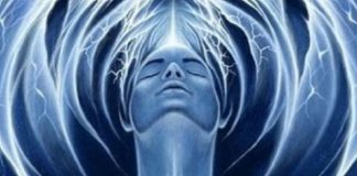 L’énergie vitale – Première partie