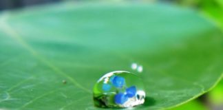 Il existe une place pour nous