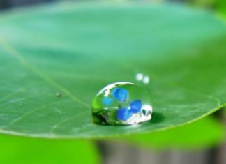 Archange Uriel nous apporte sa Flamme d’Argent en Renfort