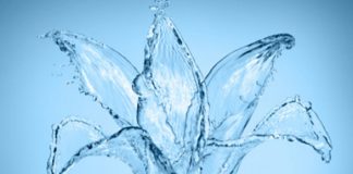 L’humanité ne peut plus se permettre des choix autres que ceux d’harmonie. Le boomerang maintenant est trop grand