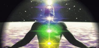 Le Créateur – Vous Êtes Parfait