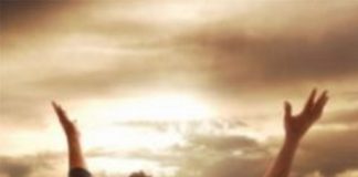 Hilarion : Mise à Jour – Février 2019