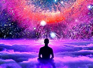 L’équipe ~ C’est un très grand terrain de jeu