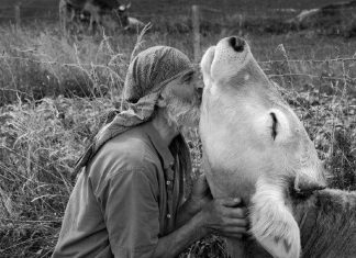 Message aux Travailleurs de Lumière – 31 janvier 2019