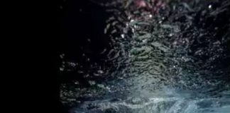 Le Créateur – Immersion