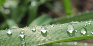 L’inspiration vous attend