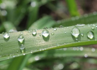 L’inspiration vous attend