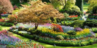 Le voyage intérieur des généticiens aliens