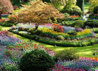 Le voyage intérieur des généticiens aliens