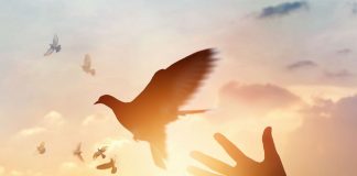 Le Créateur – Soyez vous-mêmes…