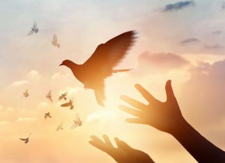 Le Créateur – Soyez vous-mêmes…