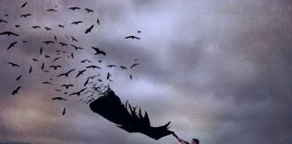 Le Créateur – Libérez la Peur….