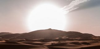 Pureté et innocence partagées