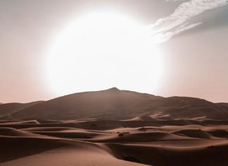 Pureté et innocence partagées