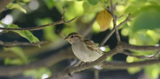 Je Peux Permettre Plus de Grâce dans Ma Vie