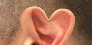 Le Créateur – Écoutez…