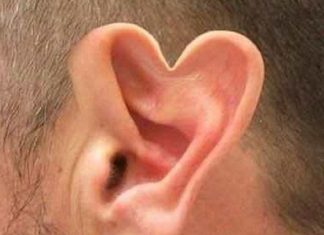 Le Créateur – Écoutez…