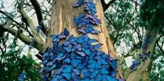 La Transformation est Activée en Faisant le Pont entre le Ciel et la Terre