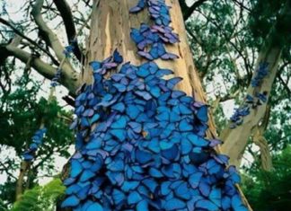 La Transformation est Activée en Faisant le Pont entre le Ciel et la Terre