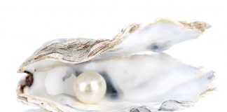 Ayez miséricorde et compassion pour vos doux Soi