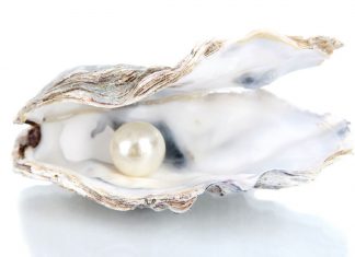 Ayez miséricorde et compassion pour vos doux Soi