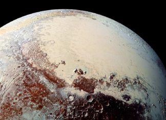 Considérer toute forme de vie avec amour