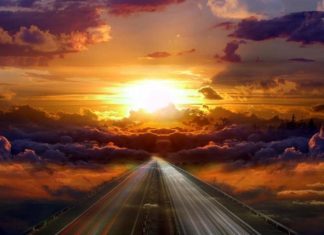 Le Créateur – Ne Pas Nourrir….