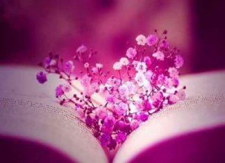 Faites Confiance au Savoir du Cœur que l’Amour Change Tout