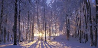 Archange Uriel : Allons explorer !