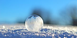 Lee Harris – Prévisions Énergétiques de Février 2019