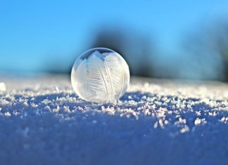 Lee Harris – Prévisions Énergétiques de Février 2019