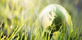 Message aux Travailleurs de Lumière – 19 février 2019