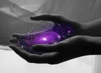 Le Créateur – Tout Pour Vous…..