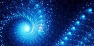 Célébration des 5 Éléments