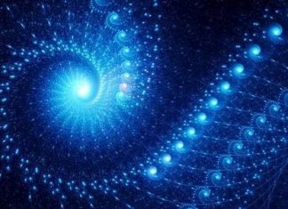 Célébration des 5 Éléments