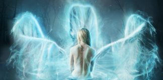 Ivo de Vega : L’Énergie Émotionnelle, Entités Négatives – Partie 3/4