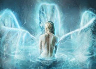 Le Conseil – Basse Énergie et Protection