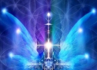 Méditation – Marche de l’Évolution – Michaël – Jour 14