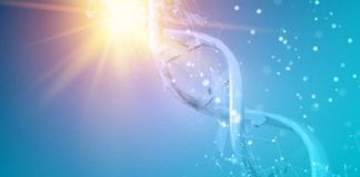 Morphogenèse 2021 – Alchimie Cosmique Puissante