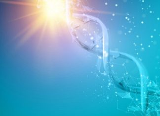 Morphogenèse 2021 – Alchimie Cosmique Puissante