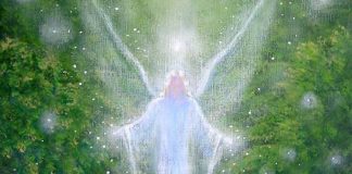 Qu’est-ce que la Divinité ?