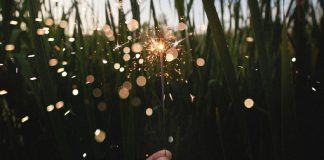 Verser votre Fondation