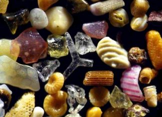 Maître de la Manifestation