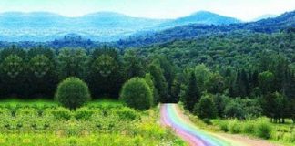 Ayez confiance en la Vie, elle vous guide vers le Meilleur