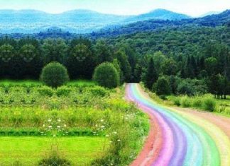 La voie est libre quand je retourne à mon Soi