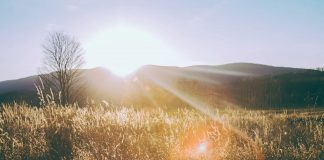 Le pouvoir de se réveiller