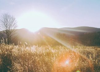 Le pouvoir de se réveiller