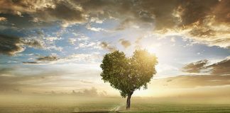 Le Créateur – Un chemin plus stable