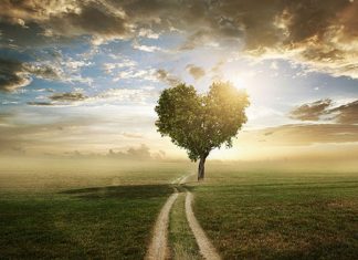 Pratique 27 – Il y a beaucoup de chemins vers la célébration éternelle